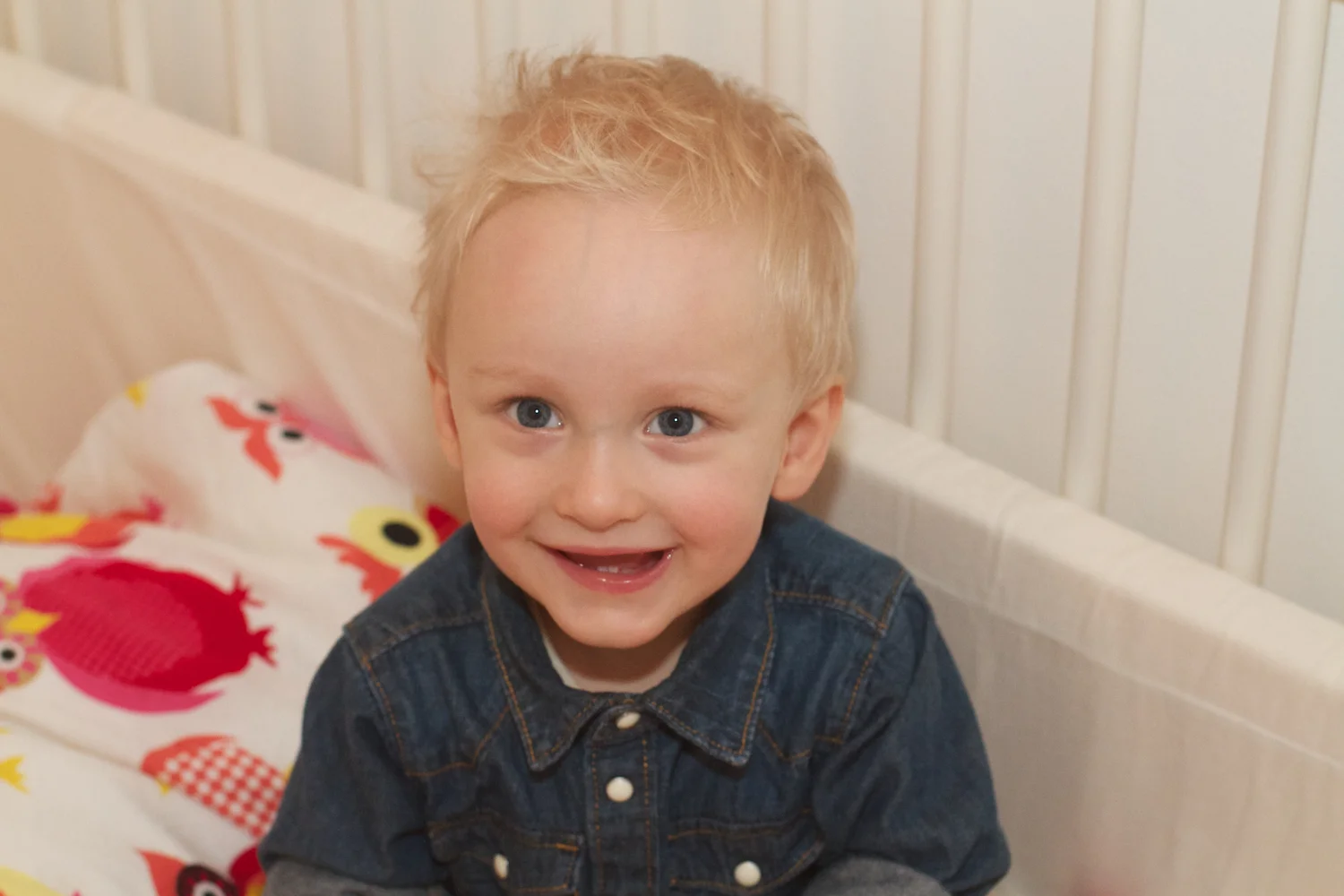 skd pic 2012_12_31 IMG_7097.CR2.jpg