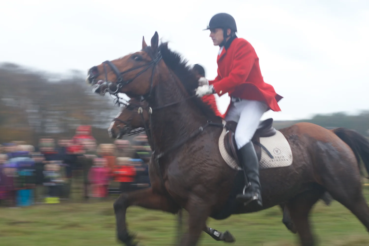 skd pic 2013_11_03 IMG_5626.CR2.jpg