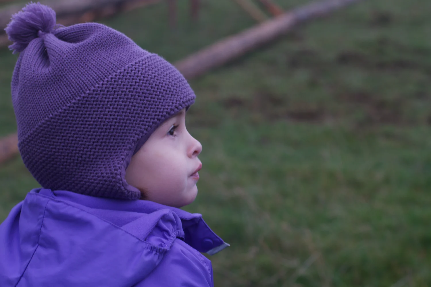 skd pic 2013_11_03 IMG_5639.CR2.jpg