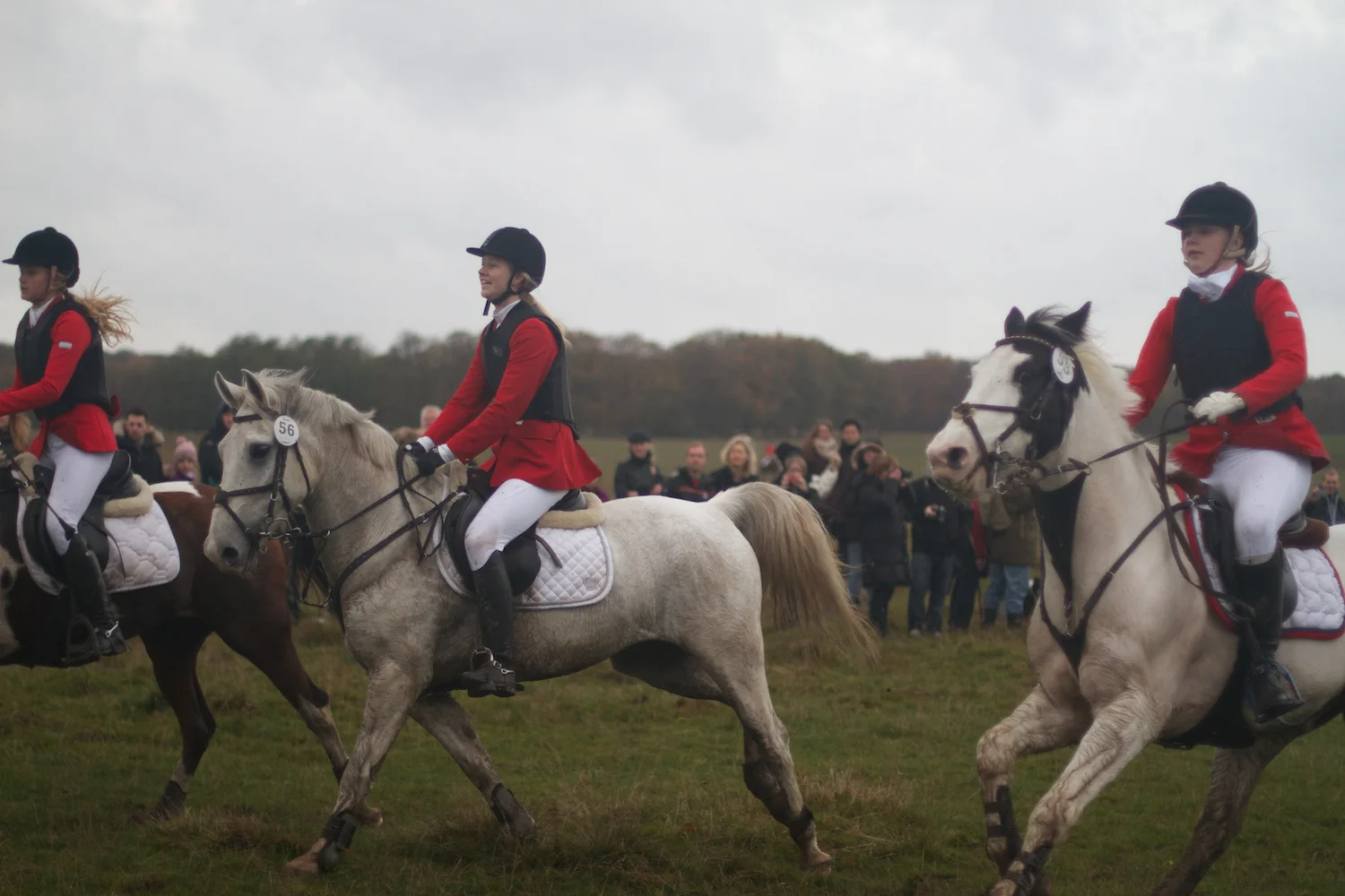 skd pic 2013_11_03 IMG_5642.CR2.jpg