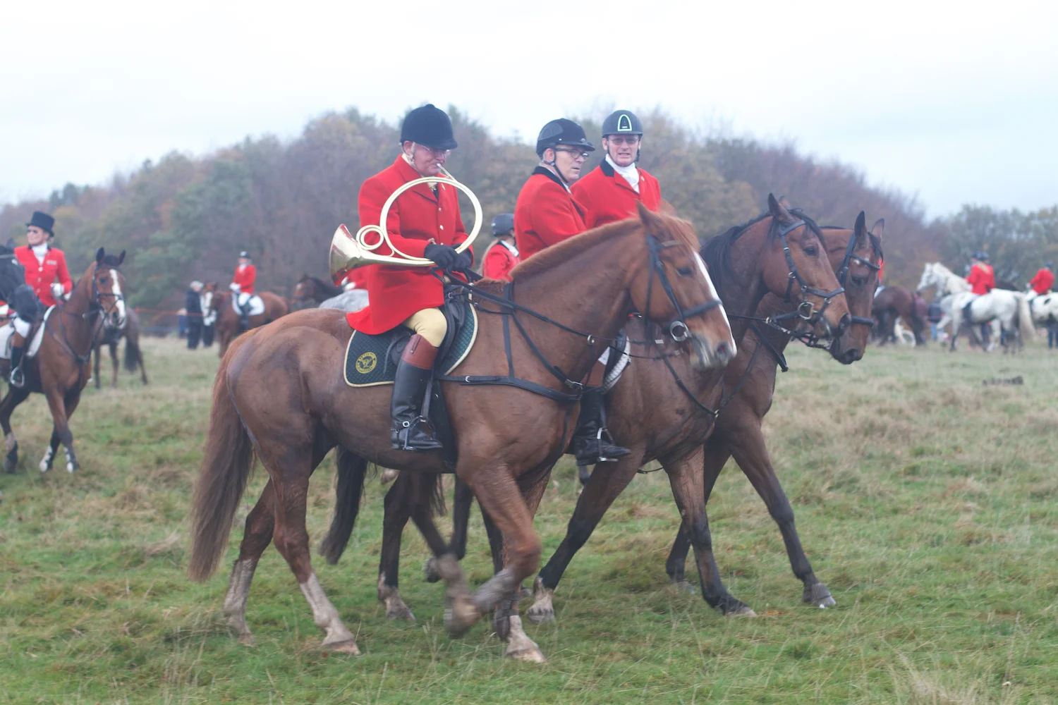 skd pic 2013_11_03 IMG_5659.CR2.jpg