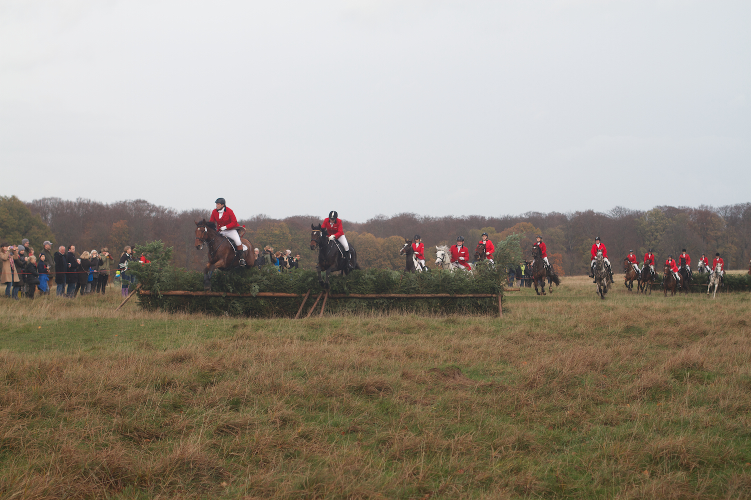 skd pic 2013_11_03 IMG_5666.CR2.jpg