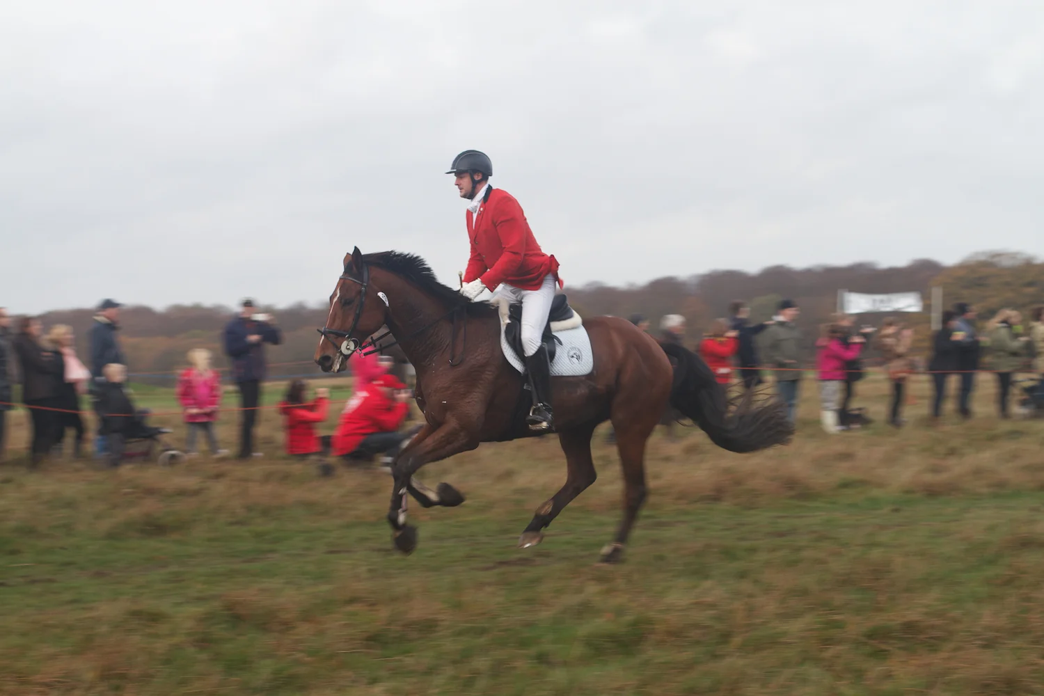 skd pic 2013_11_03 IMG_5675.CR2.jpg