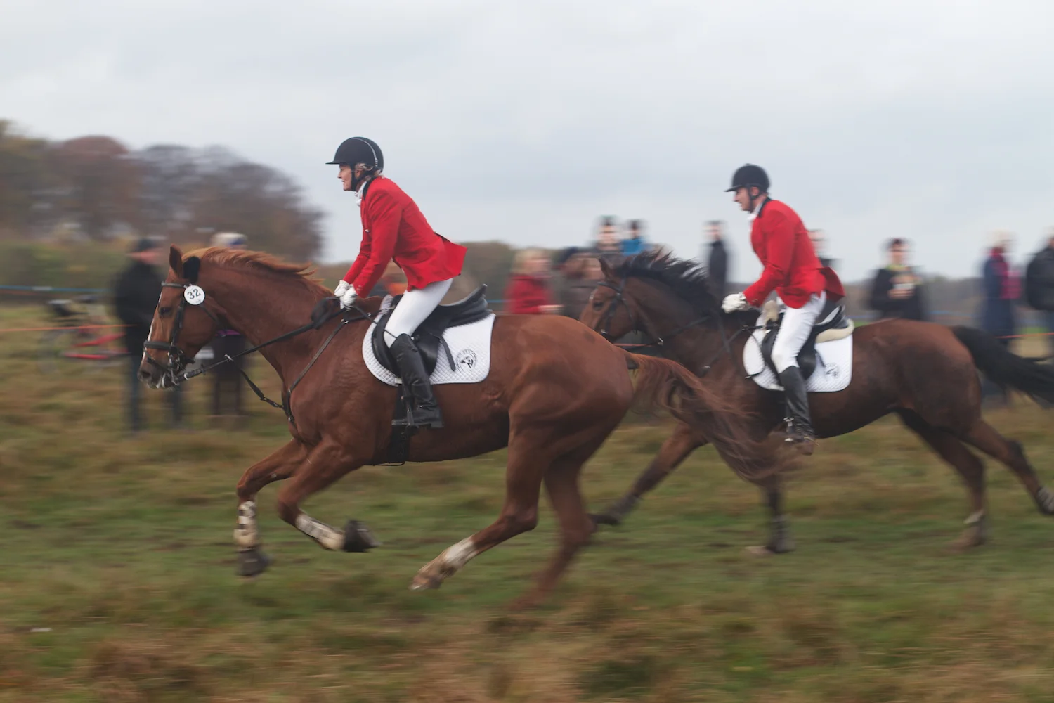 skd pic 2013_11_03 IMG_5683.CR2.jpg