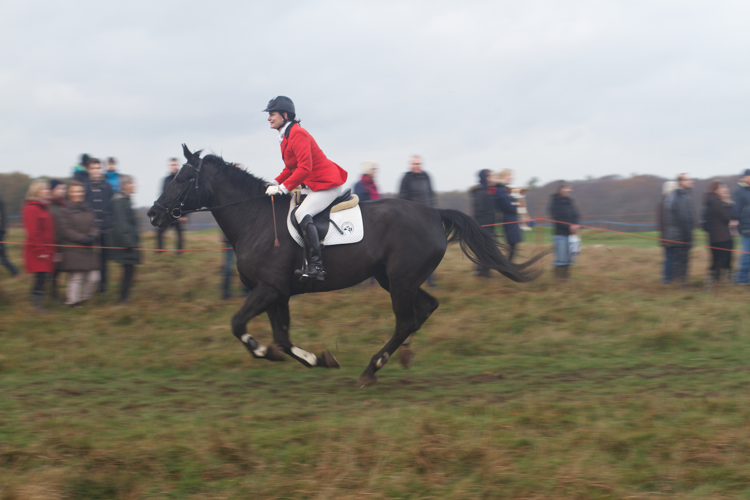 skd pic 2013_11_03 IMG_5707.CR2.jpg