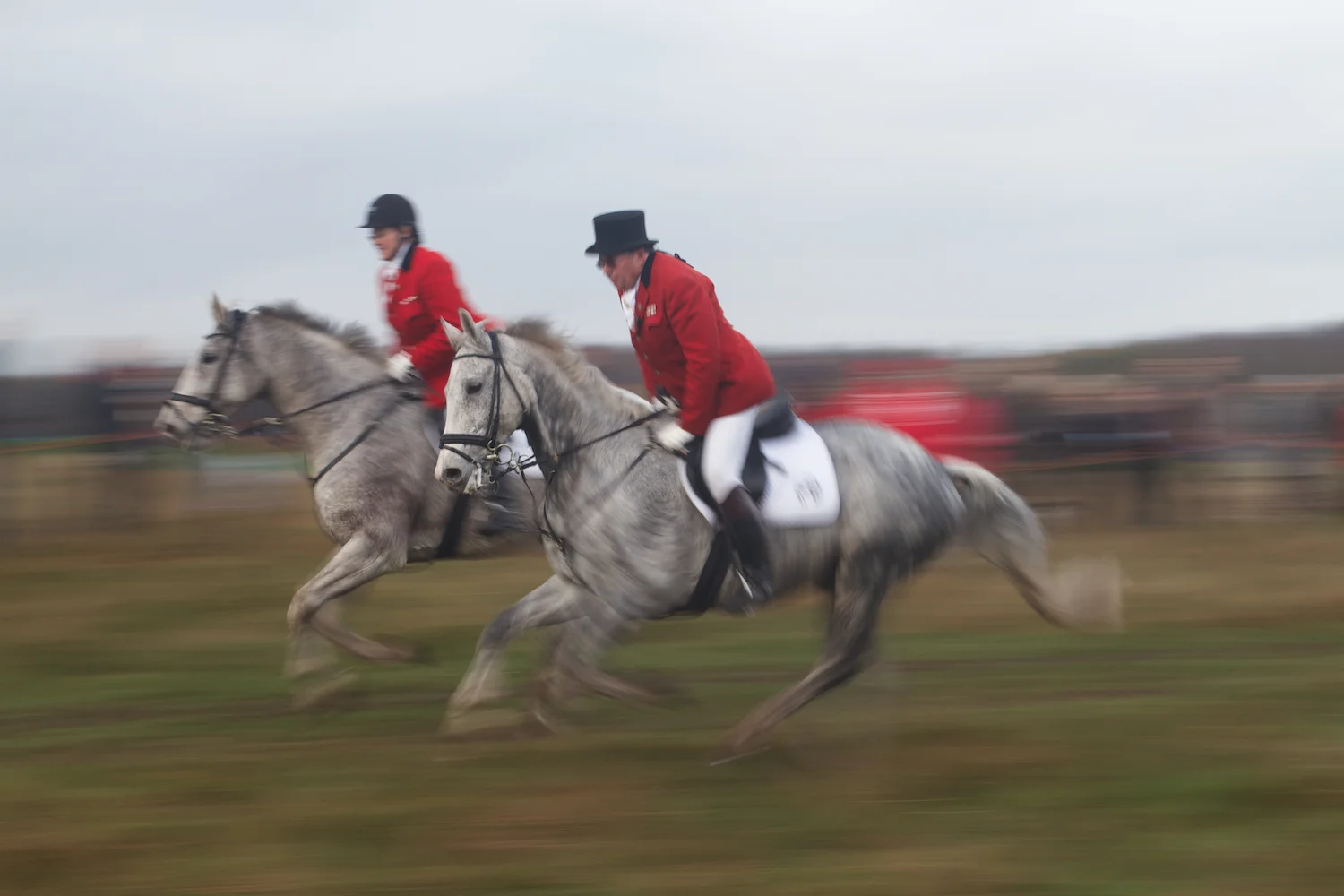 skd pic 2013_11_03 IMG_5716.CR2.jpg