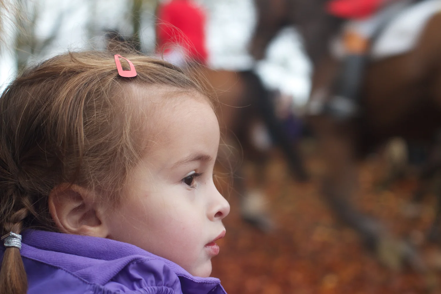 skd pic 2013_11_03 IMG_5743.CR2.jpg