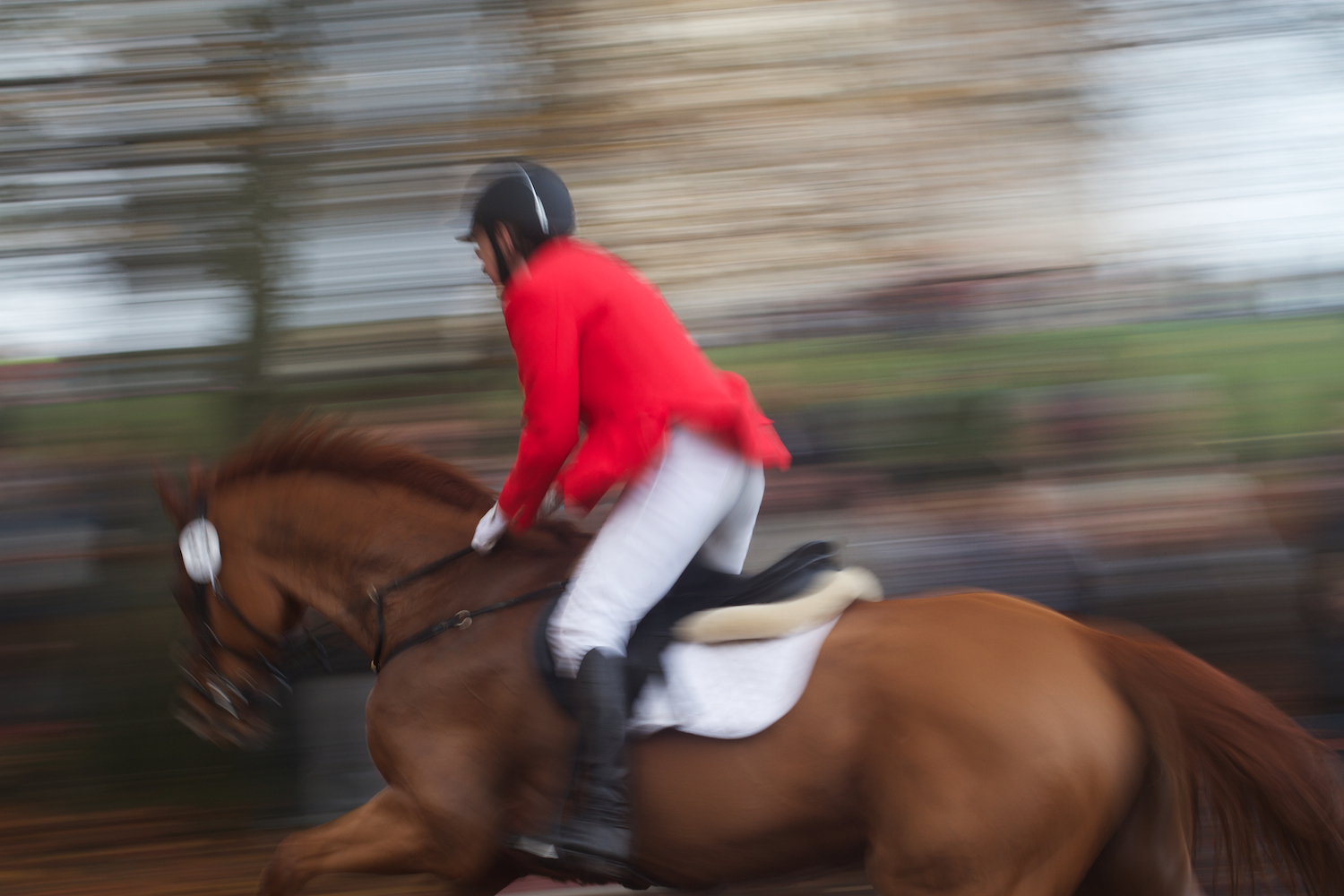 skd pic 2013_11_03 IMG_5755.CR2.jpg