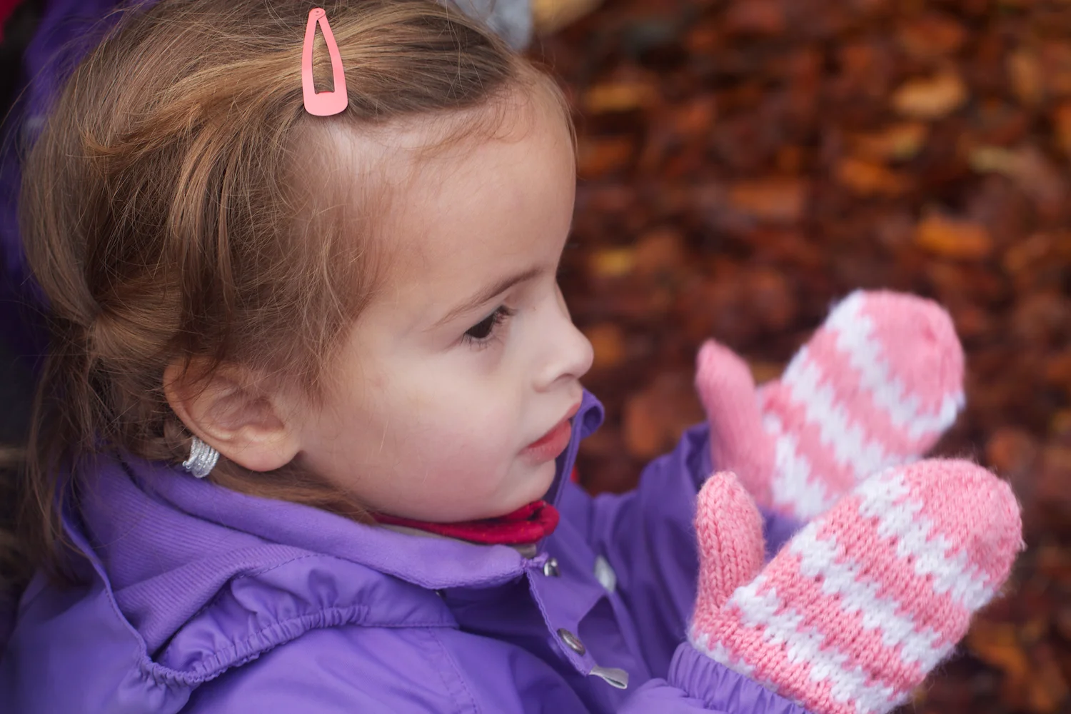 skd pic 2013_11_03 IMG_5773.CR2.jpg