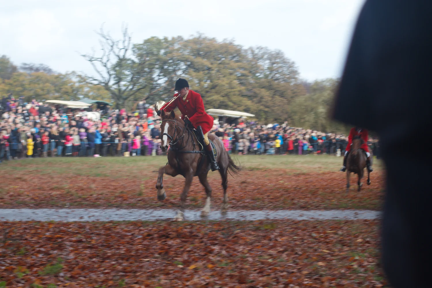 skd pic 2013_11_03 IMG_5762.CR2.jpg