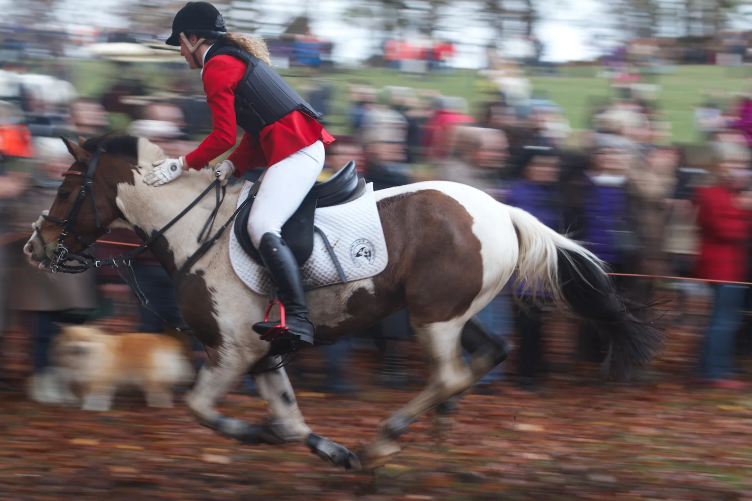 skd pic 2013_11_03 IMG_5795.CR2.jpg