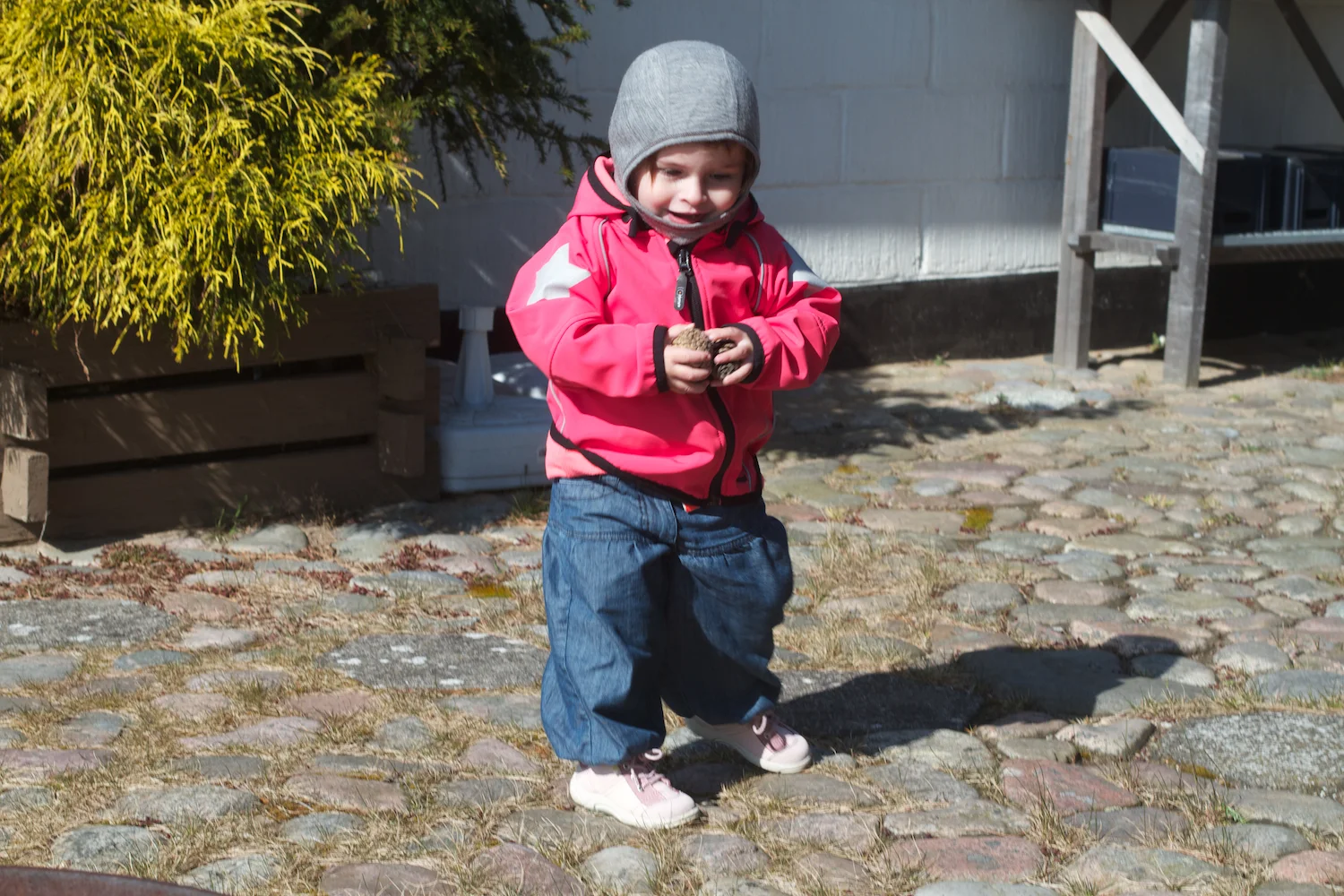 skd pic 2012_03_31 IMG_9381.CR2.jpg