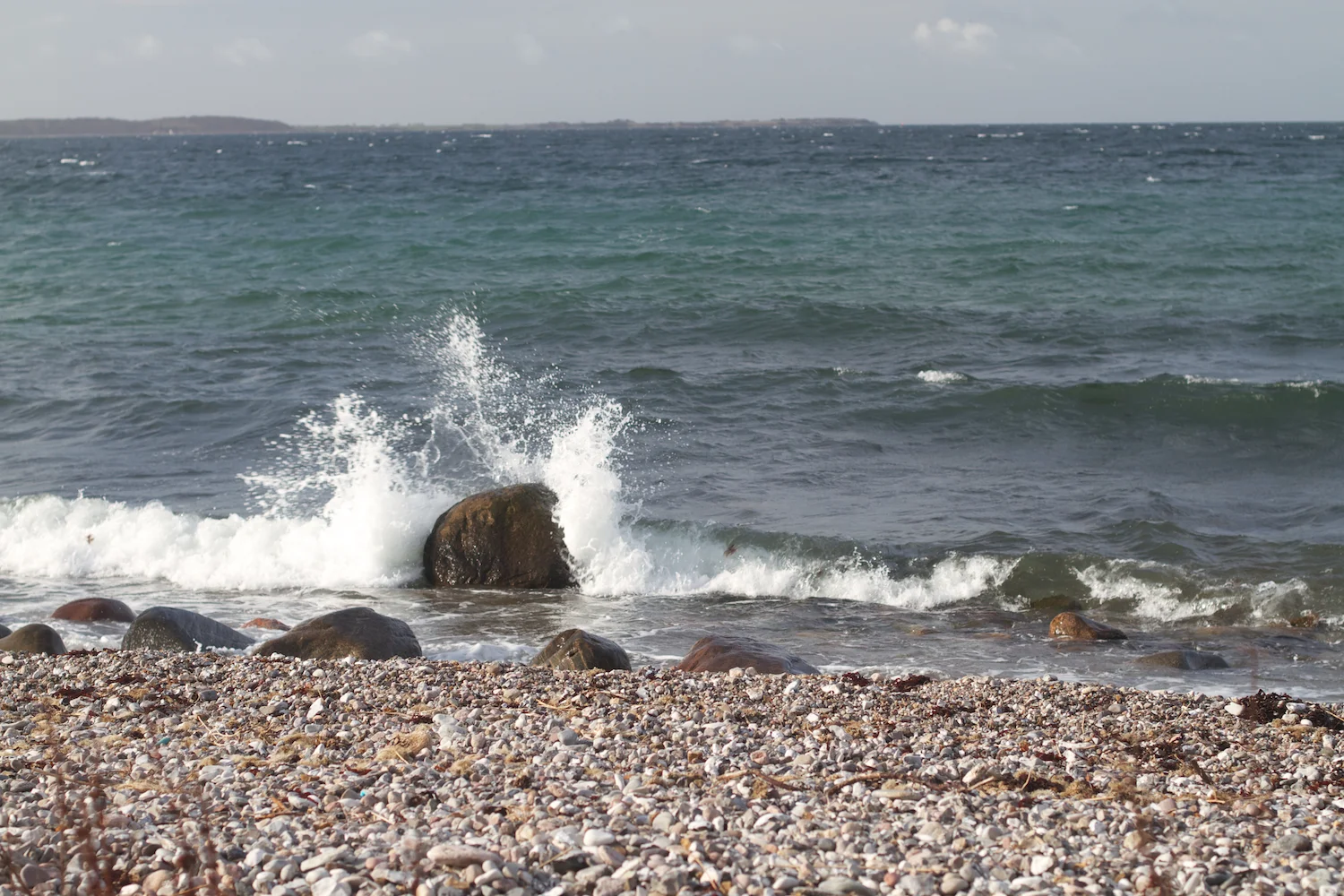 skd pic 2012_04_01 IMG_9553.CR2.jpg