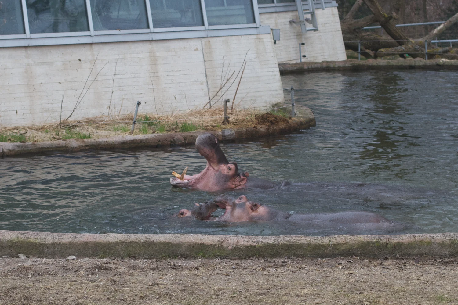 skd pic 2012_03_17 IMG_9043.CR2.jpg