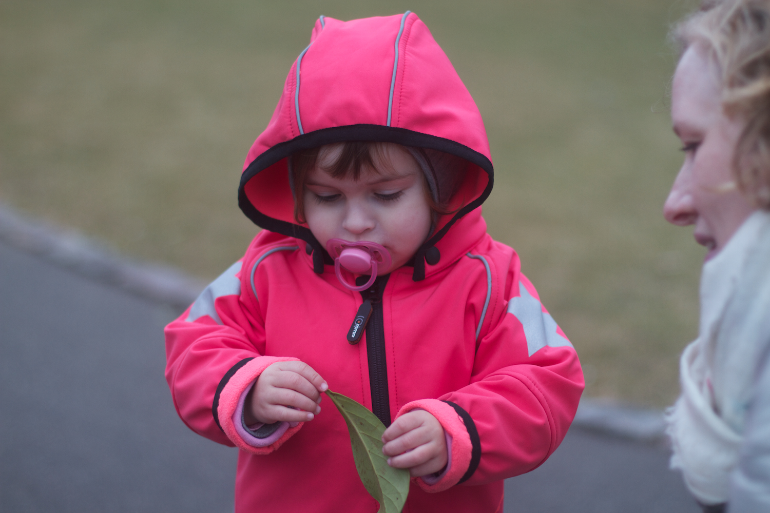 skd pic 2012_03_17 IMG_9081.CR2.jpg