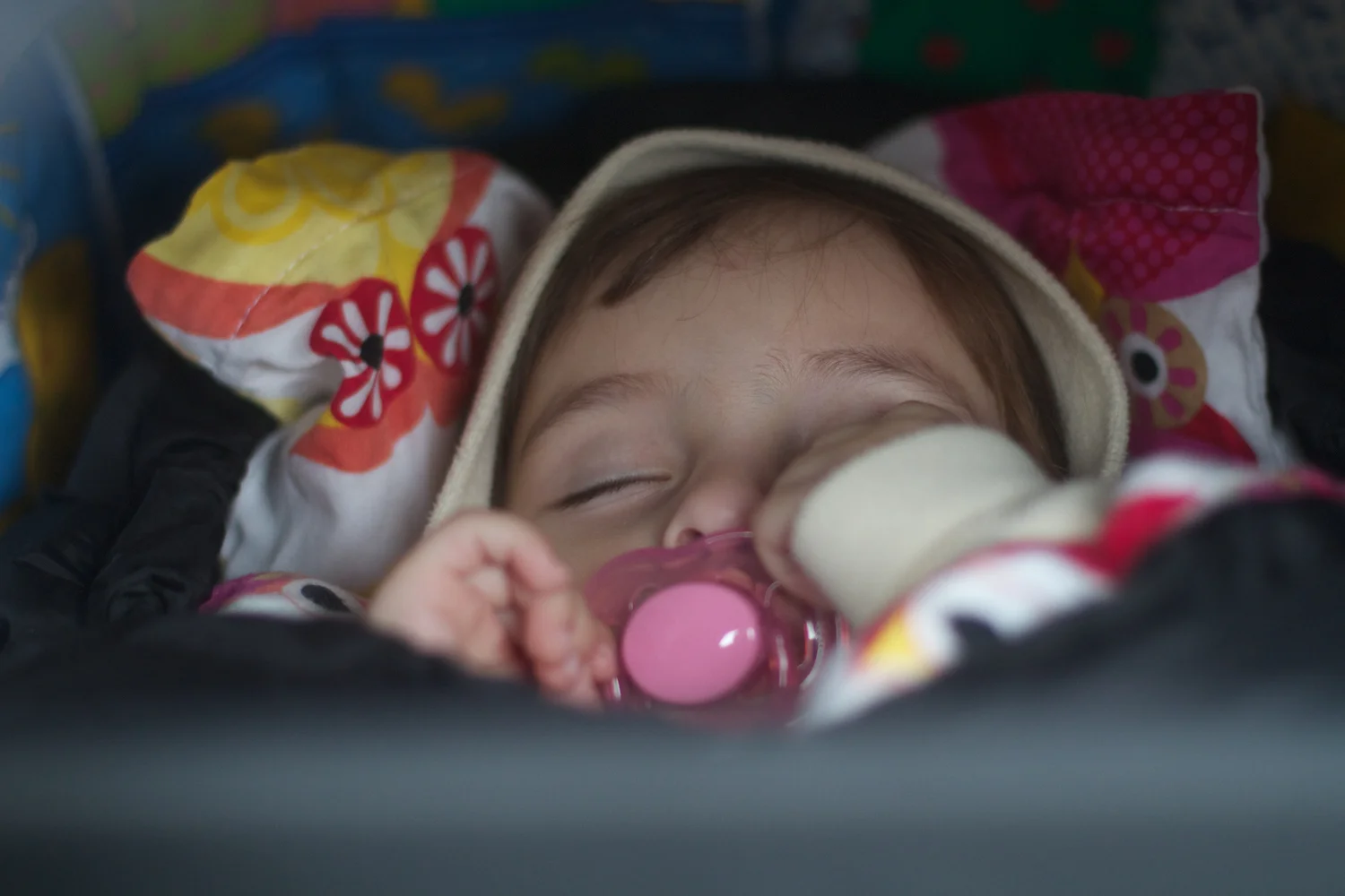 skd pic 2012_03_17 IMG_9083.CR2.jpg