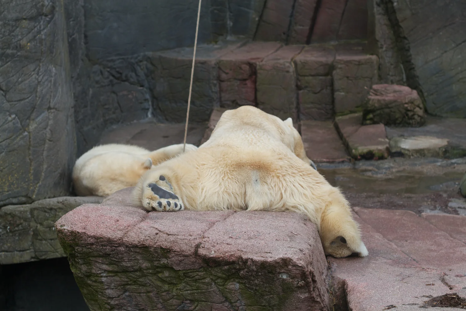 skd pic 2012_03_17 IMG_9255.CR2.jpg