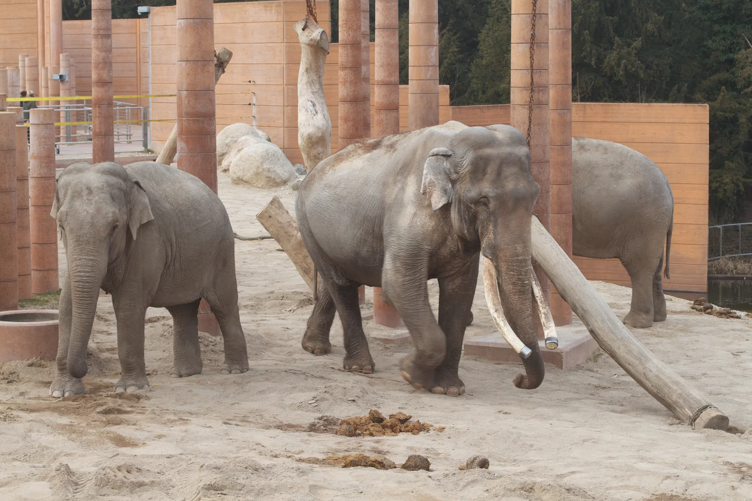 skd pic 2012_03_17 IMG_9266.CR2.jpg