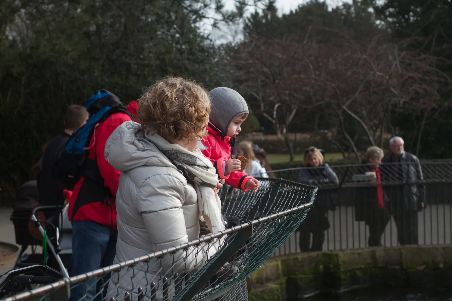 skd pic 2012_03_17 IMG_9272.CR2.jpg