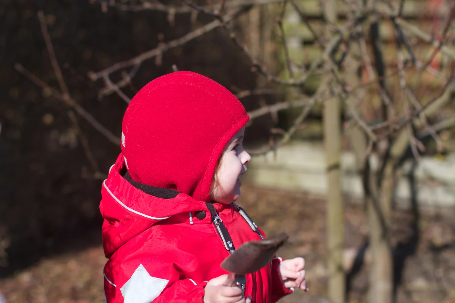 skd pic 2012_03_11 IMG_8520.CR2.jpg