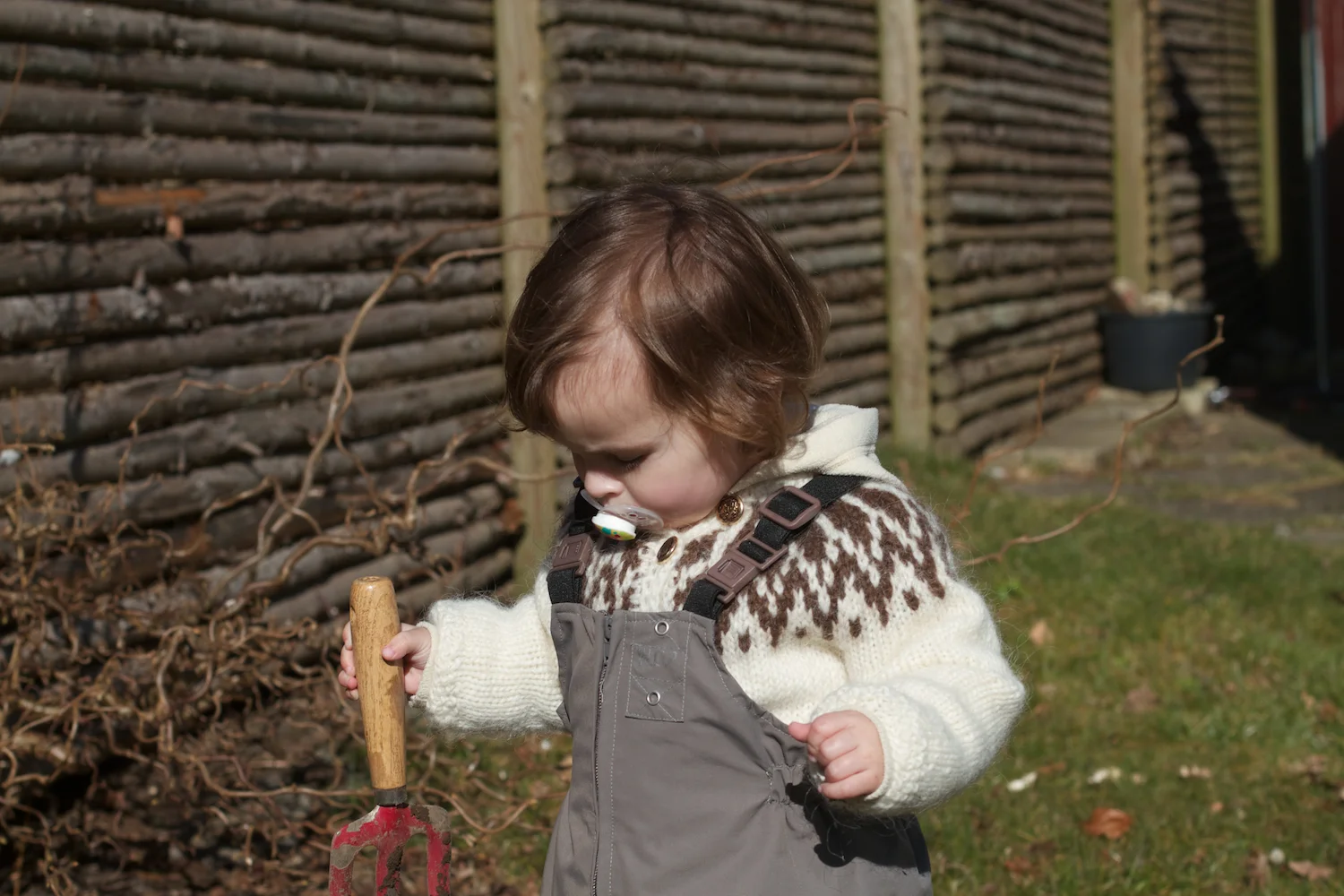 skd pic 2012_03_13 IMG_8630.CR2.jpg