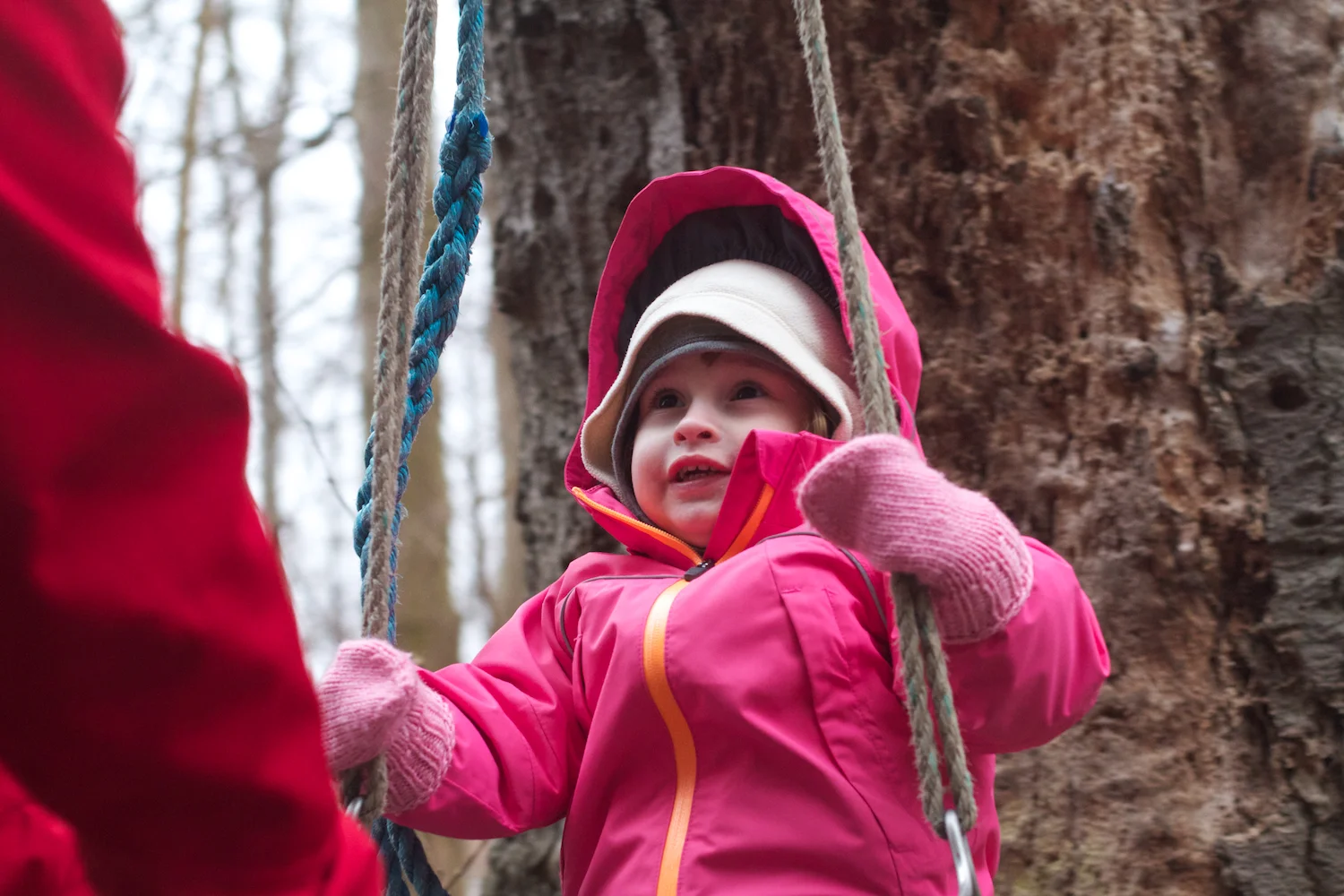 skd pic 2012_03_15 IMG_8871.CR2.jpg