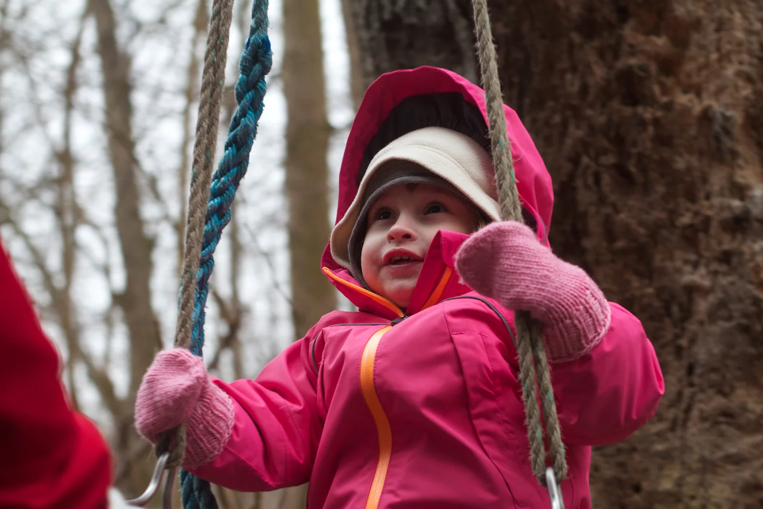 skd pic 2012_03_15 IMG_8872.CR2.jpg