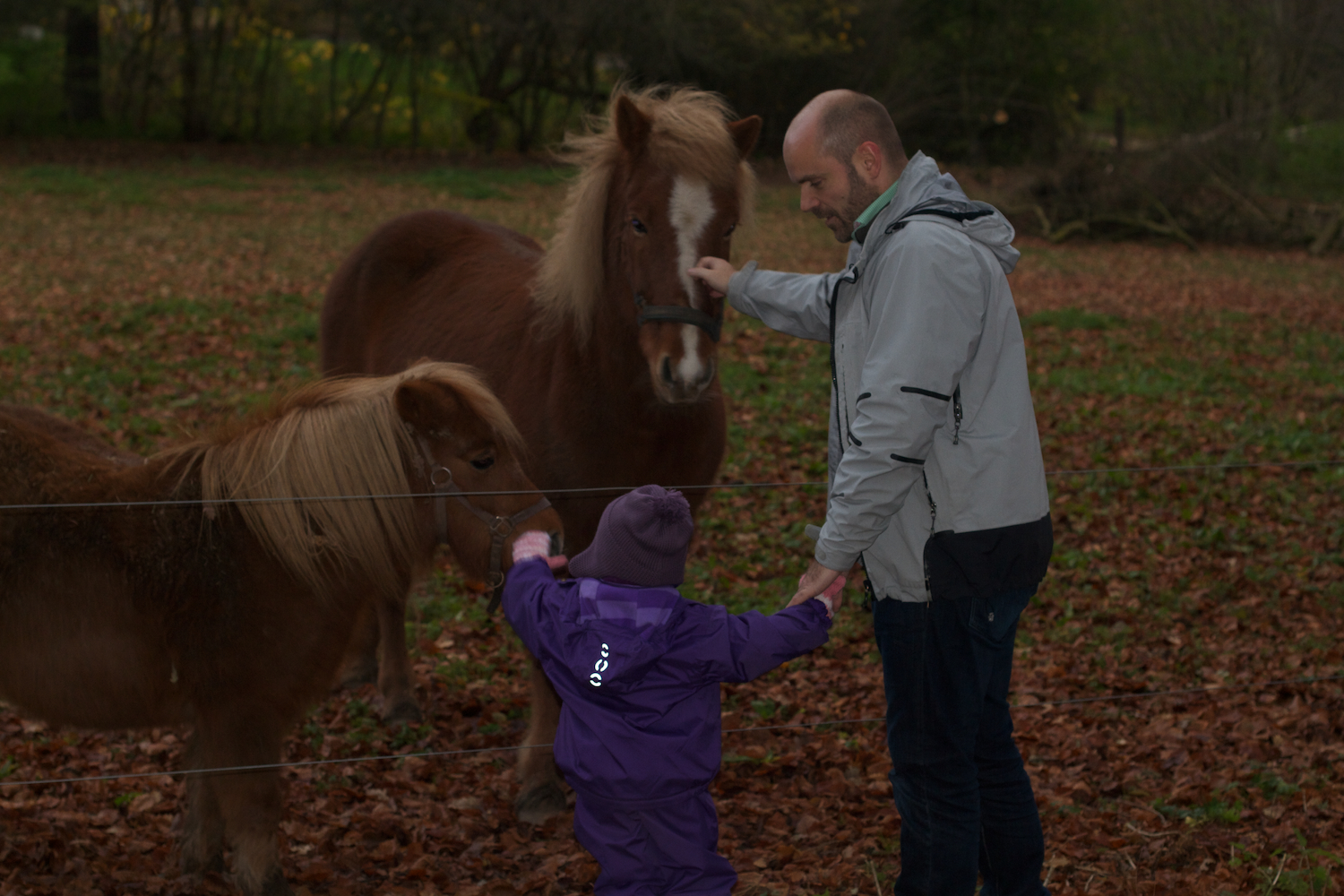 skd pic 2013_11_16 IMG_5832.CR2.jpg