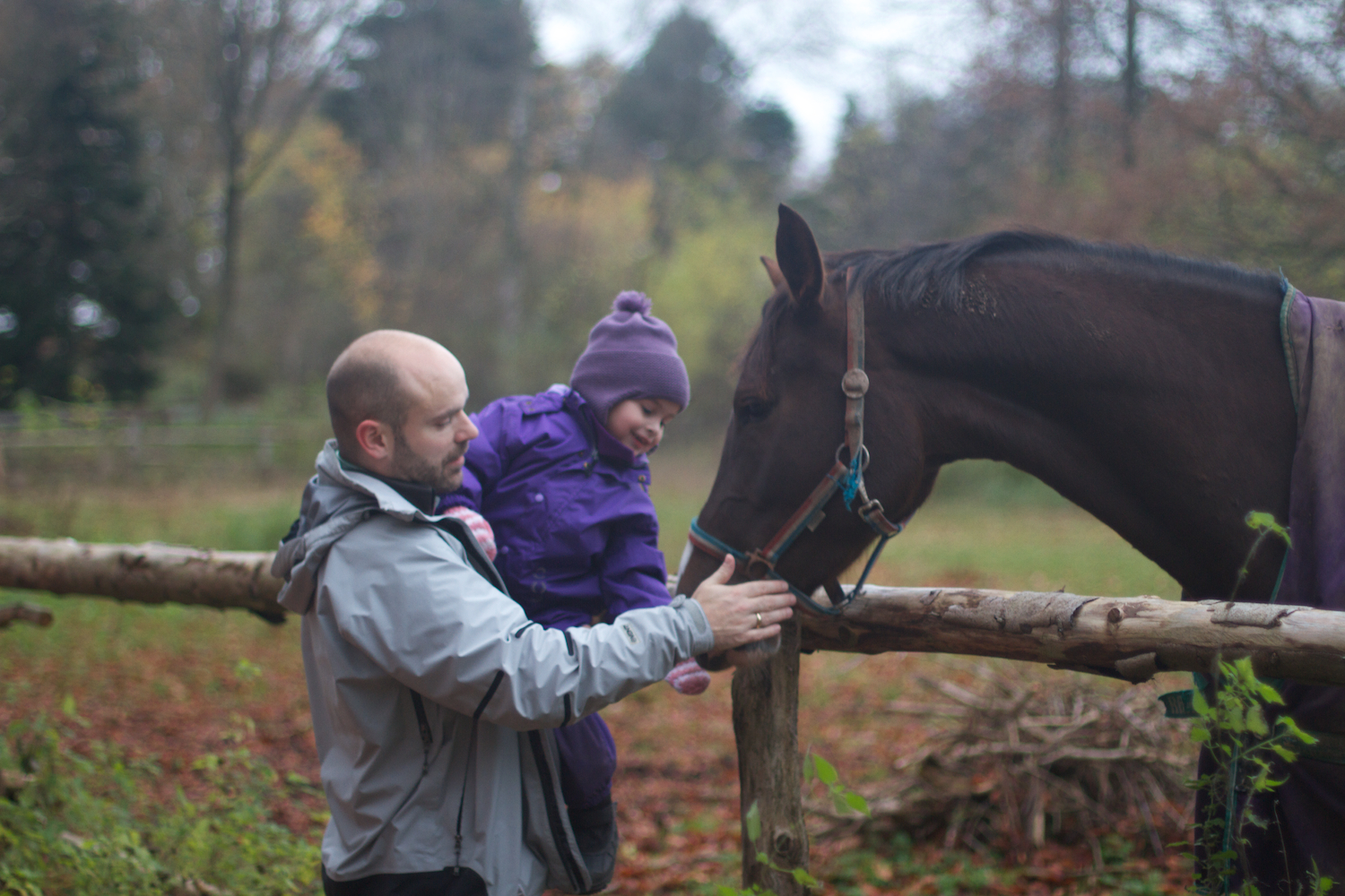 skd pic 2013_11_16 IMG_5855.CR2.jpg