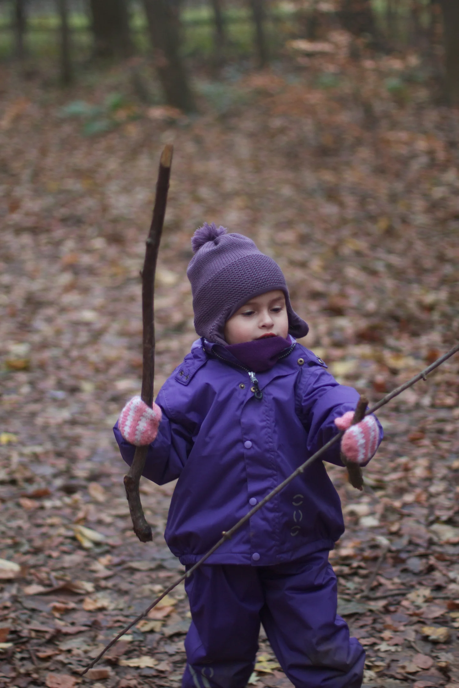 skd pic 2013_11_16 IMG_5866.CR2.jpg