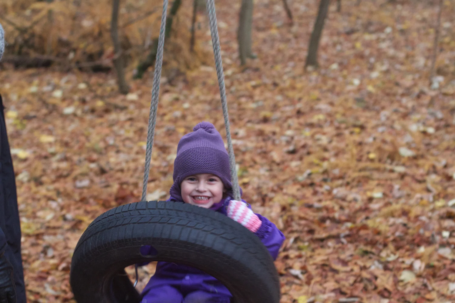 skd pic 2013_11_16 IMG_5934.CR2.jpg