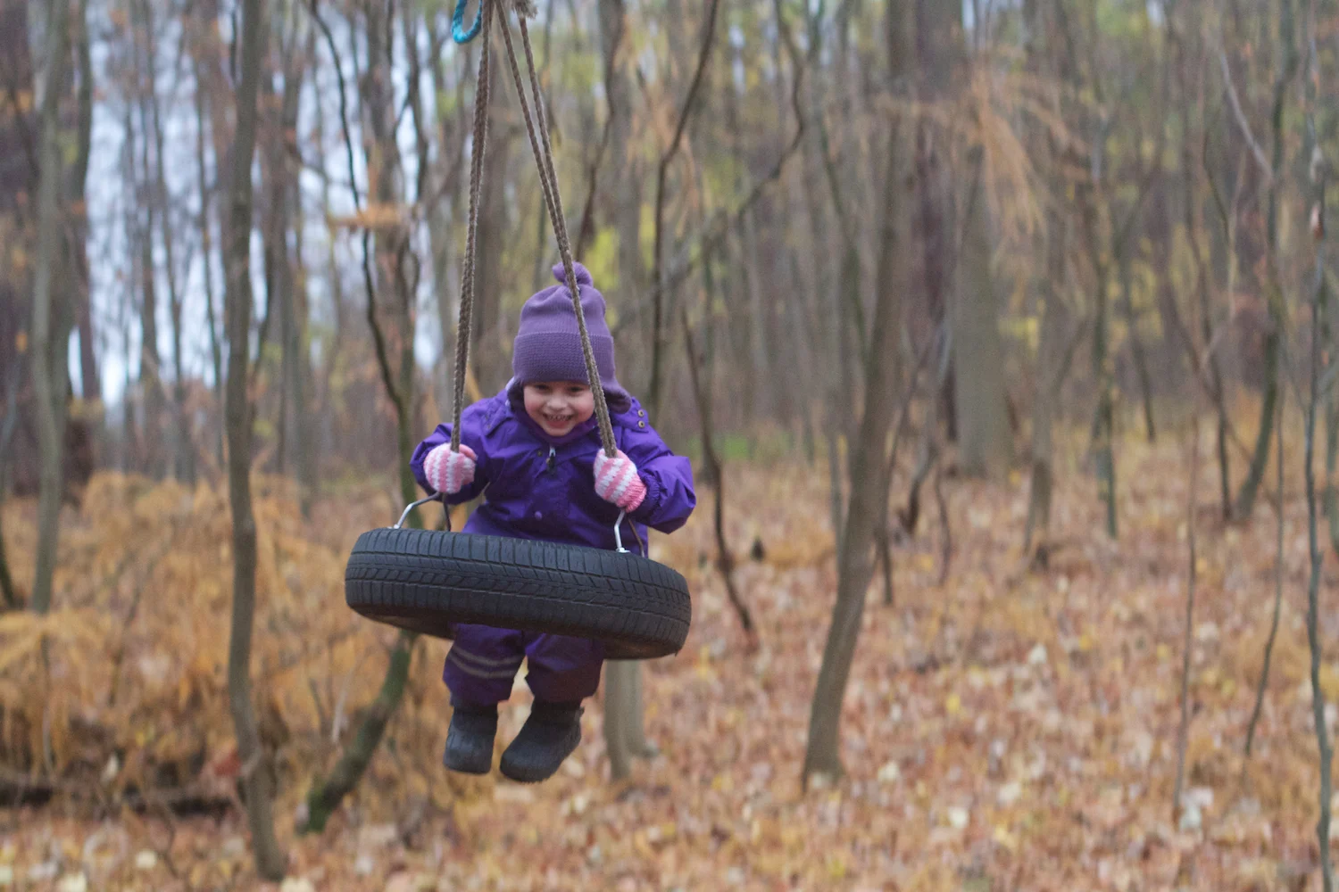 skd pic 2013_11_16 IMG_5955.CR2.jpg