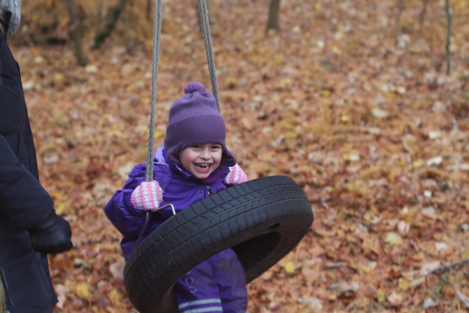 skd pic 2013_11_16 IMG_5997.CR2.jpg