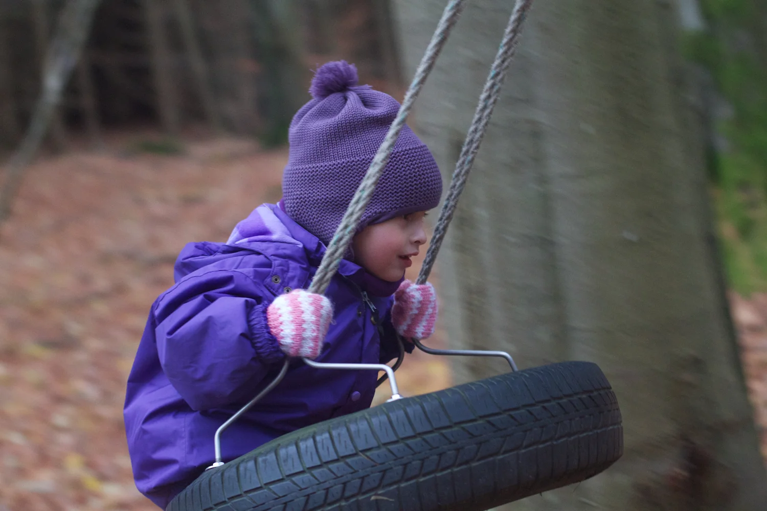 skd pic 2013_11_16 IMG_6012.CR2.jpg