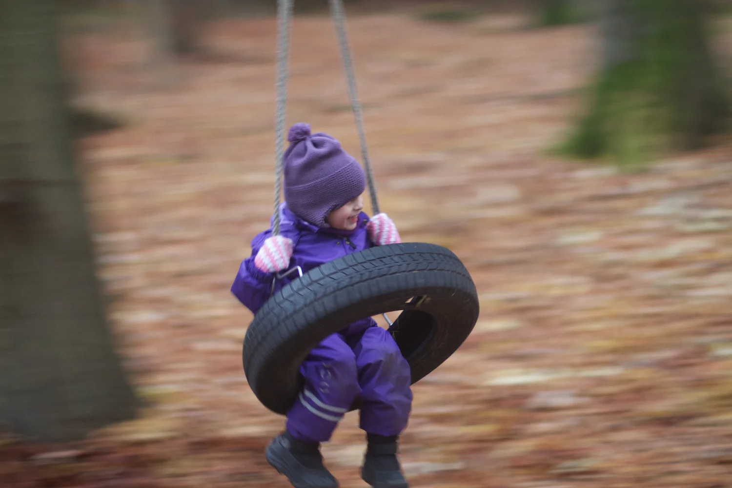 skd pic 2013_11_16 IMG_6047.CR2.jpg