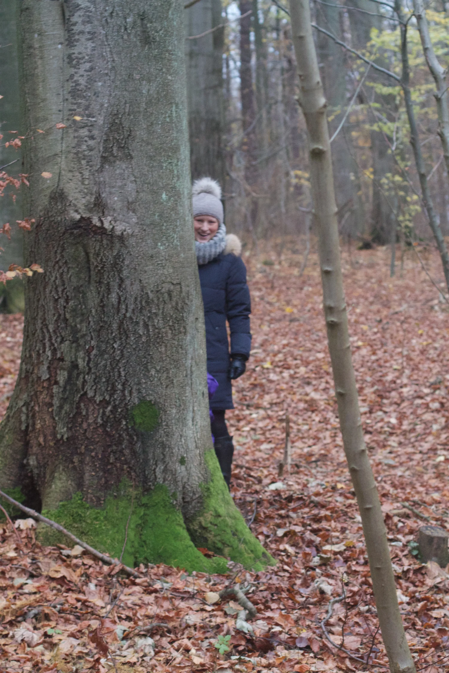 skd pic 2013_11_16 IMG_6070.CR2.jpg