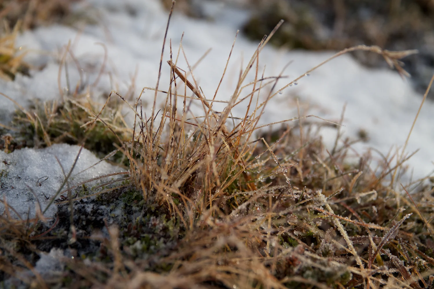 Island 2014_10_24 63.jpg