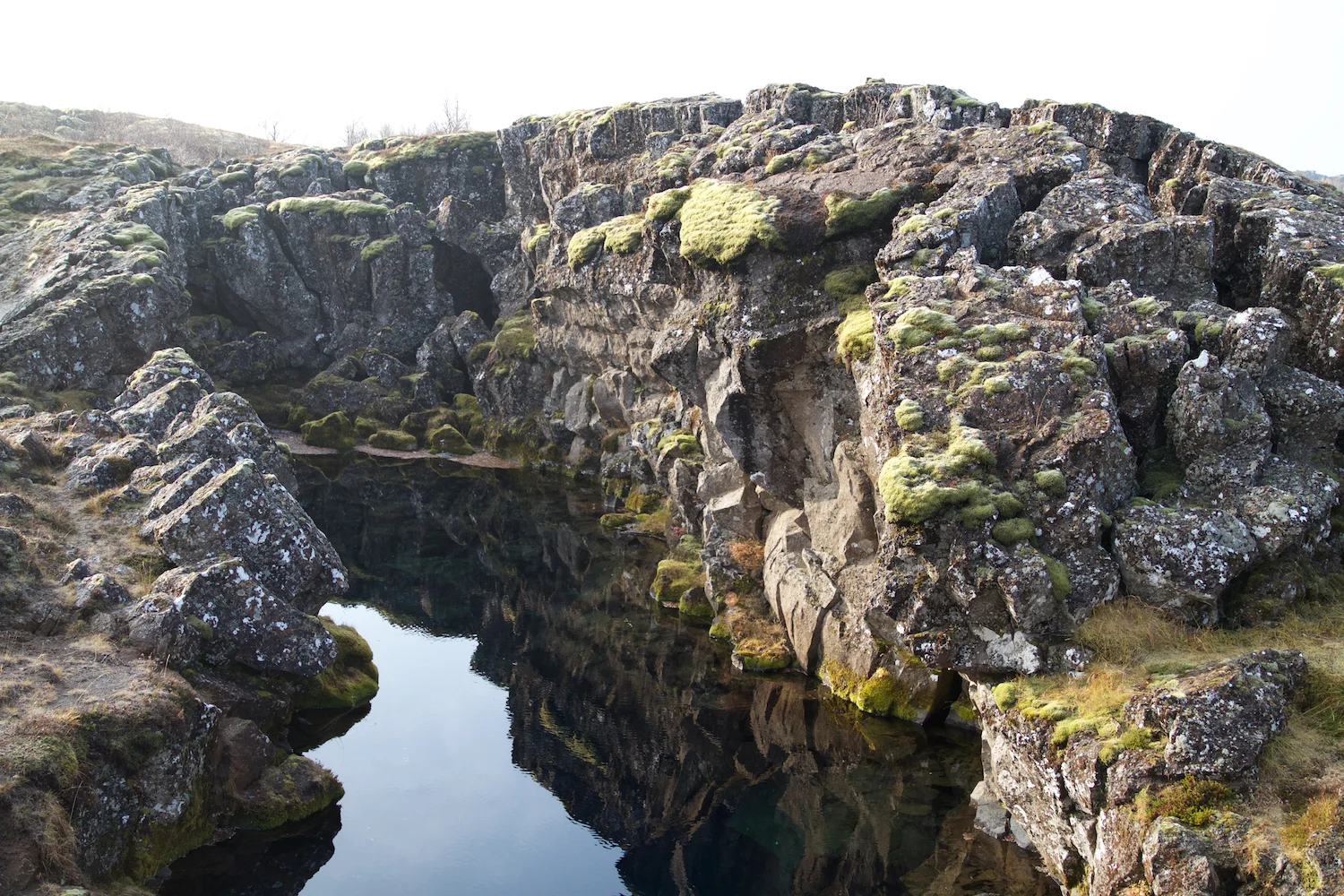 Island 2014_10_24 83.jpg