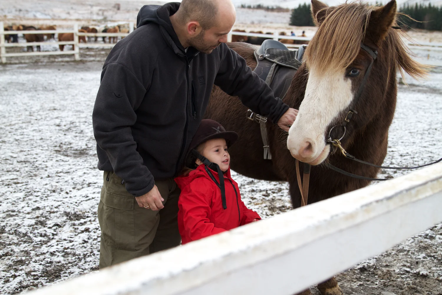 Island 2014_10_25 186.jpg