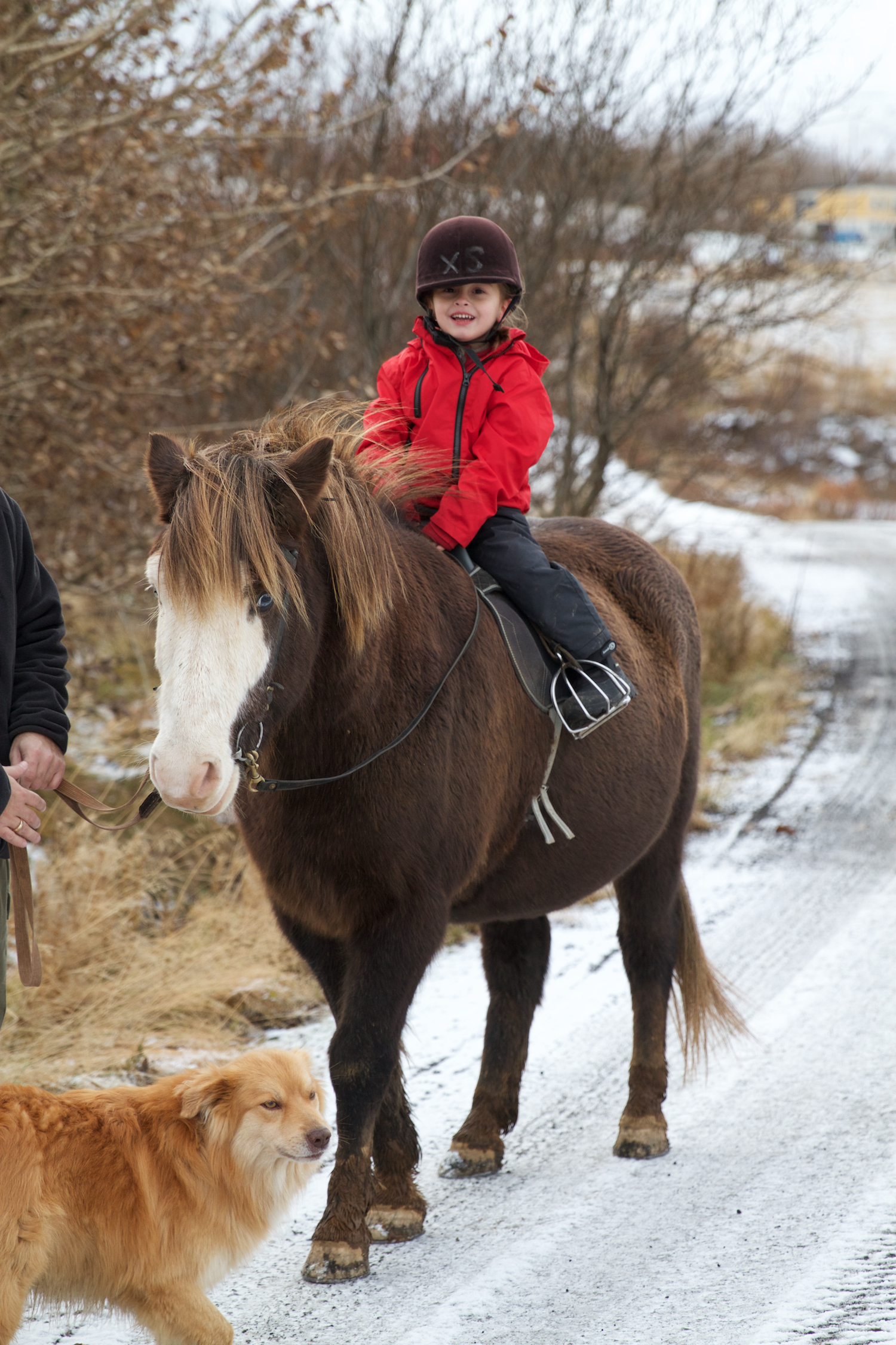 Island 2014_10_25 198.jpg