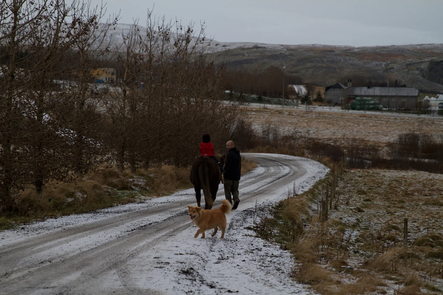 Island 2014_10_25 208.jpg