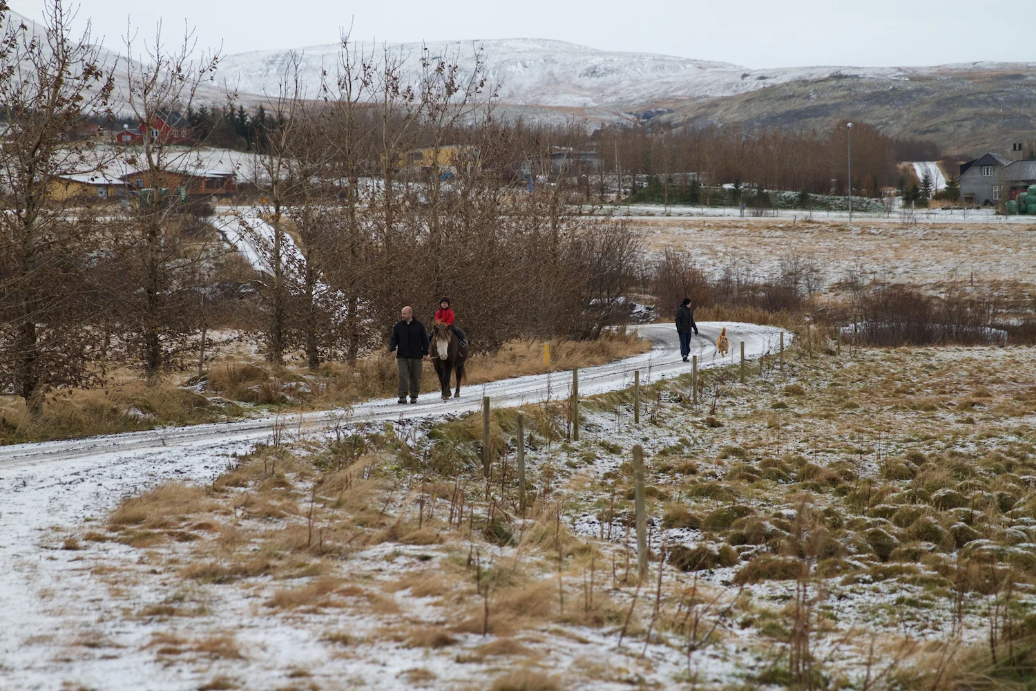 Island 2014_10_25 218.jpg