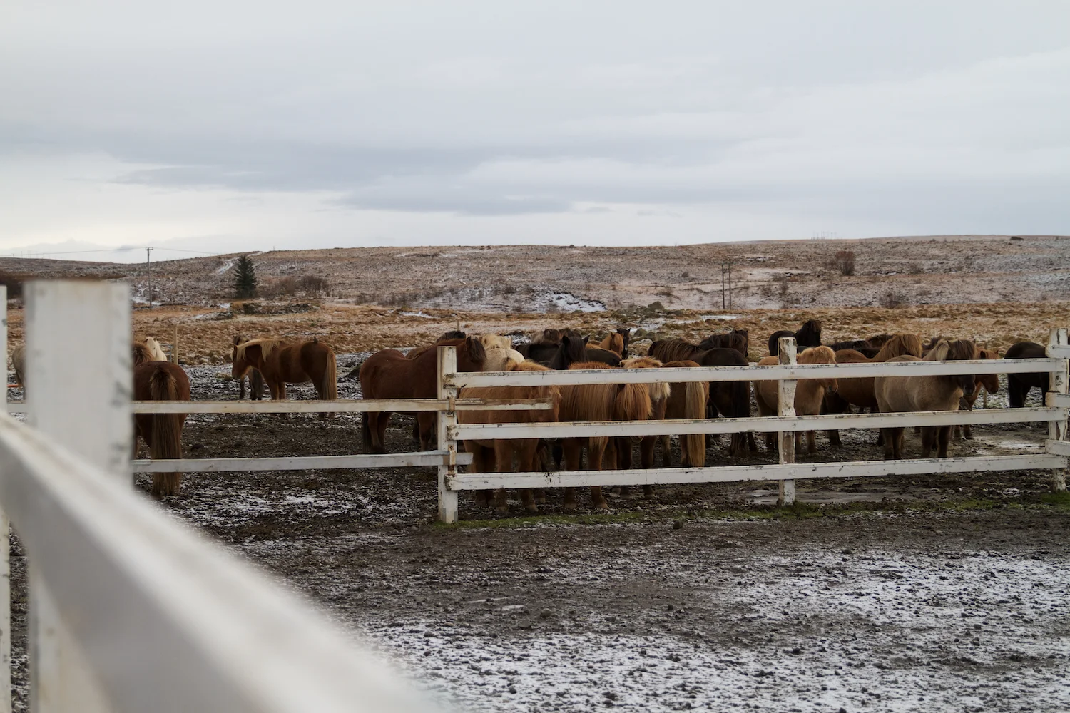 Island 2014_10_25 222.jpg