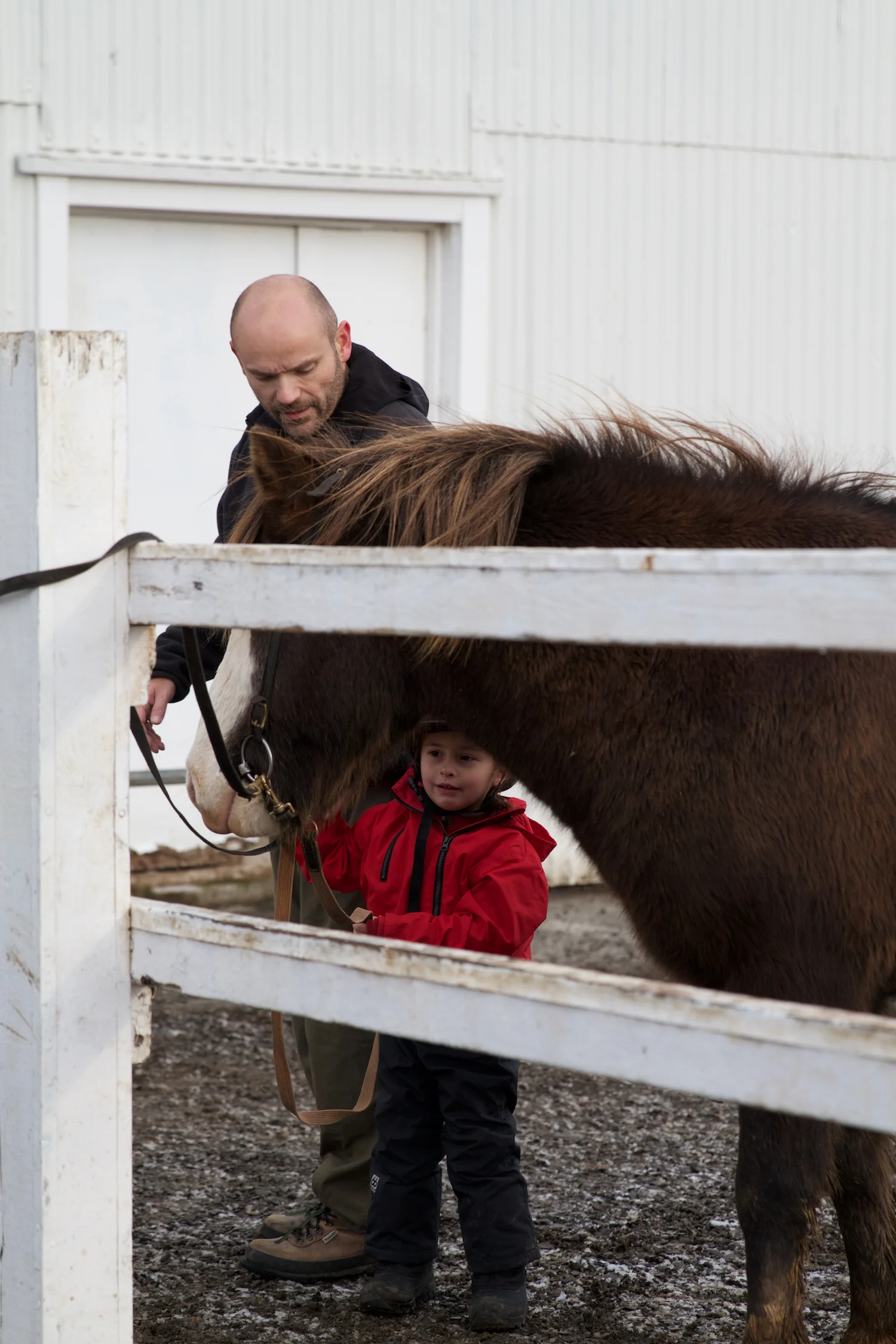 Island 2014_10_25 224.jpg