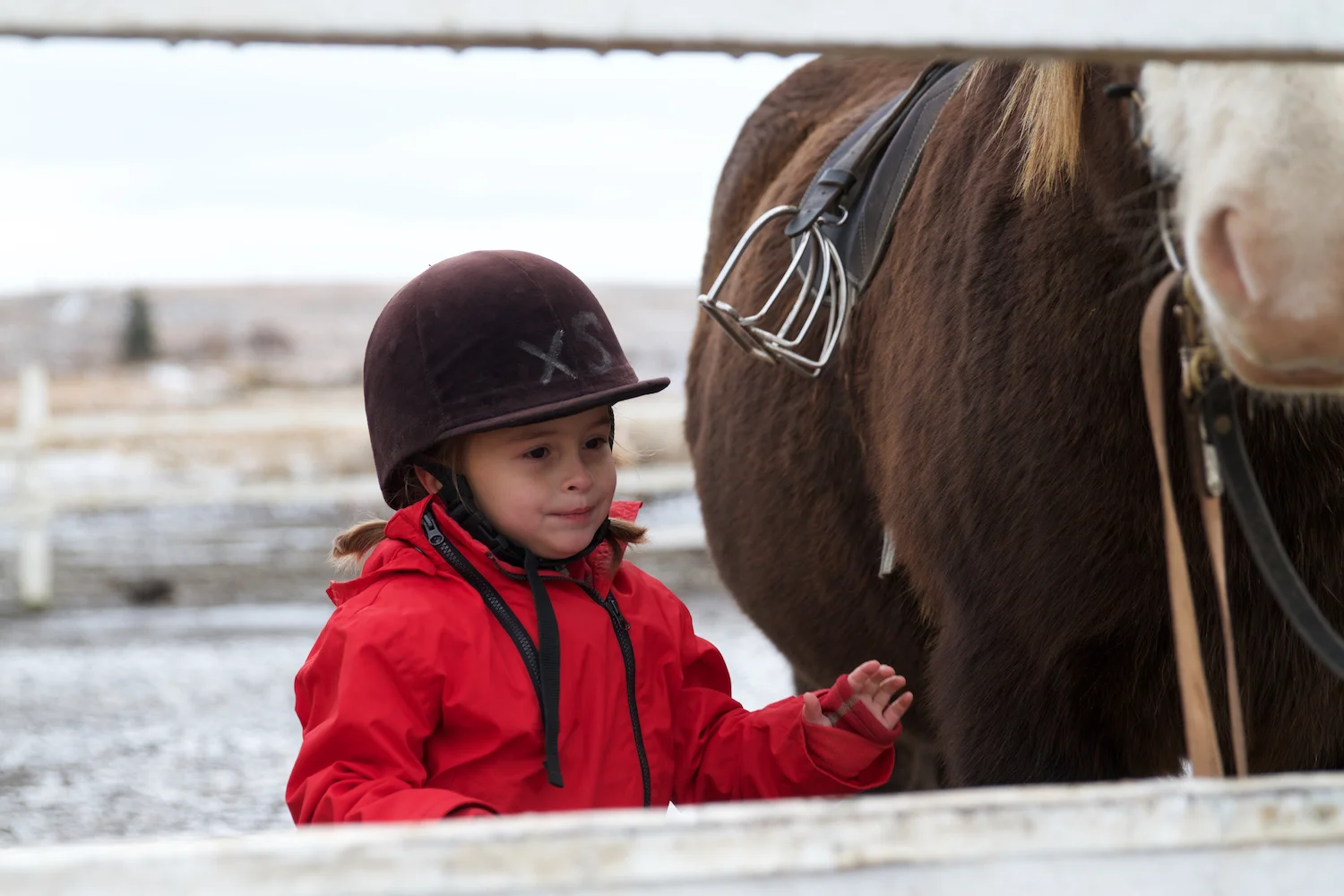 Island 2014_10_25 225.jpg