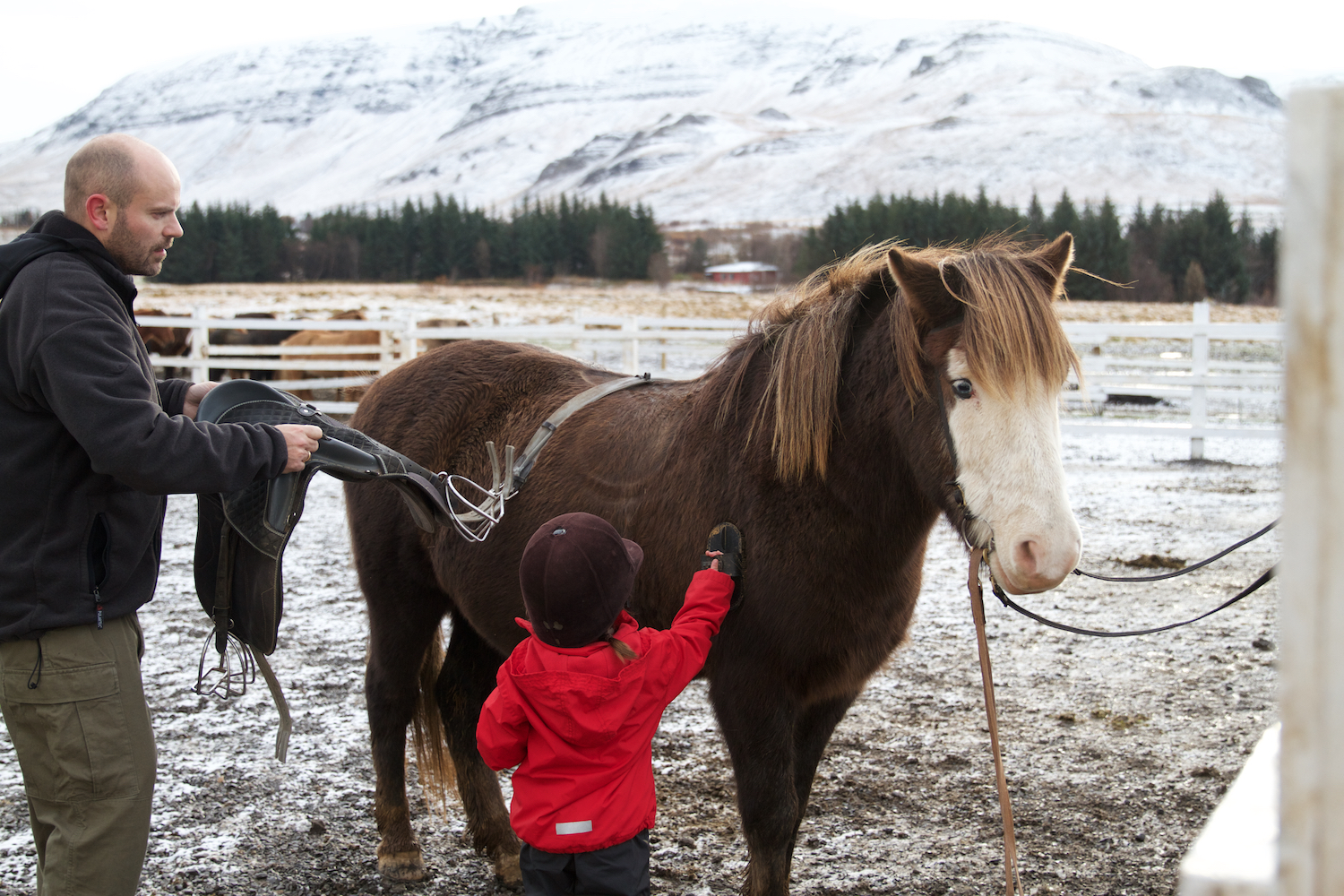 Island 2014_10_25 229.jpg