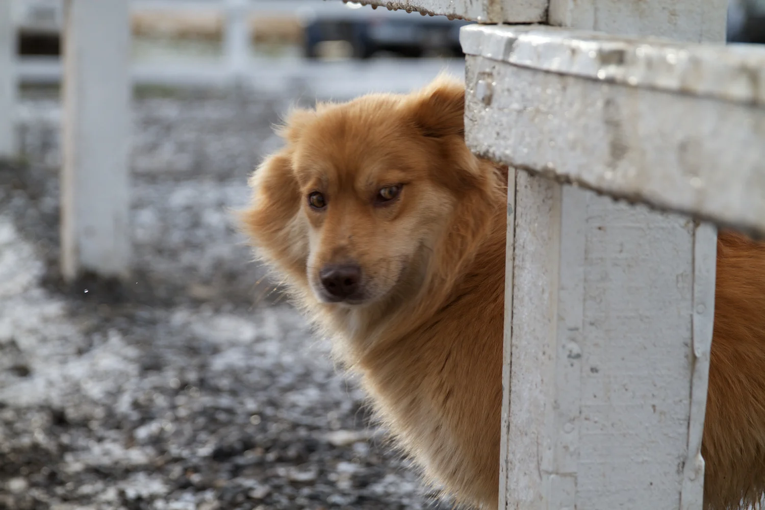 Island 2014_10_25 230.jpg