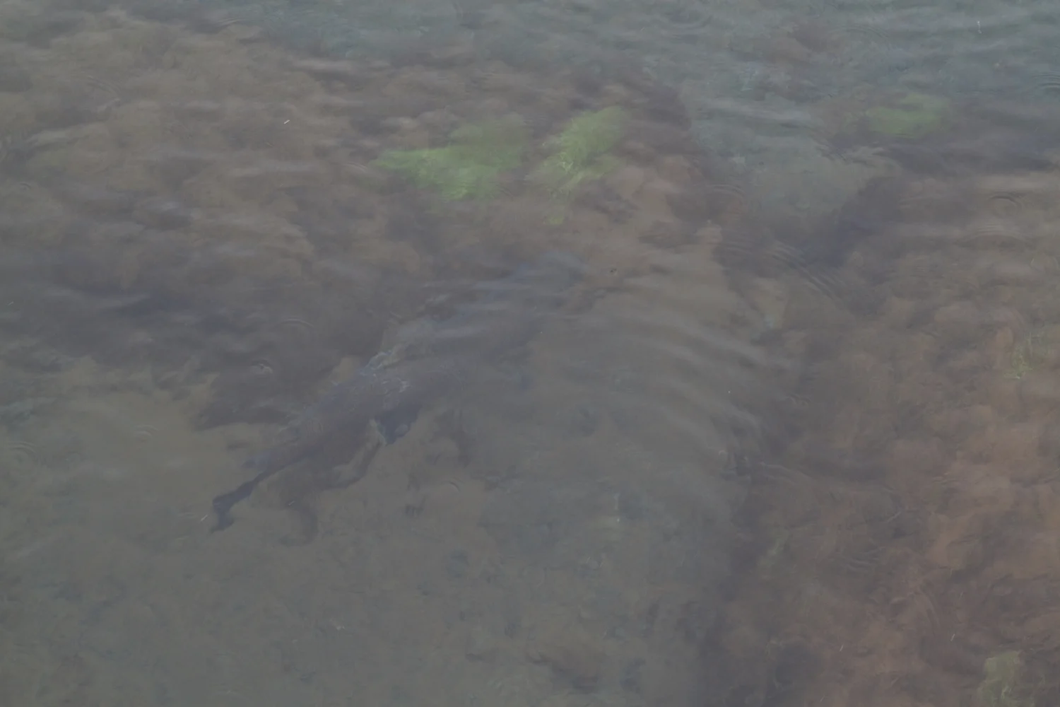 Island 2014_10_25 233.jpg