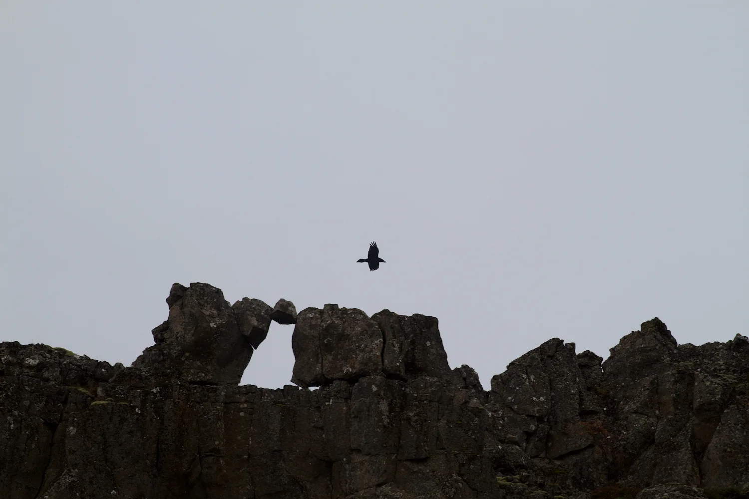 Island 2014_10_25 242.jpg