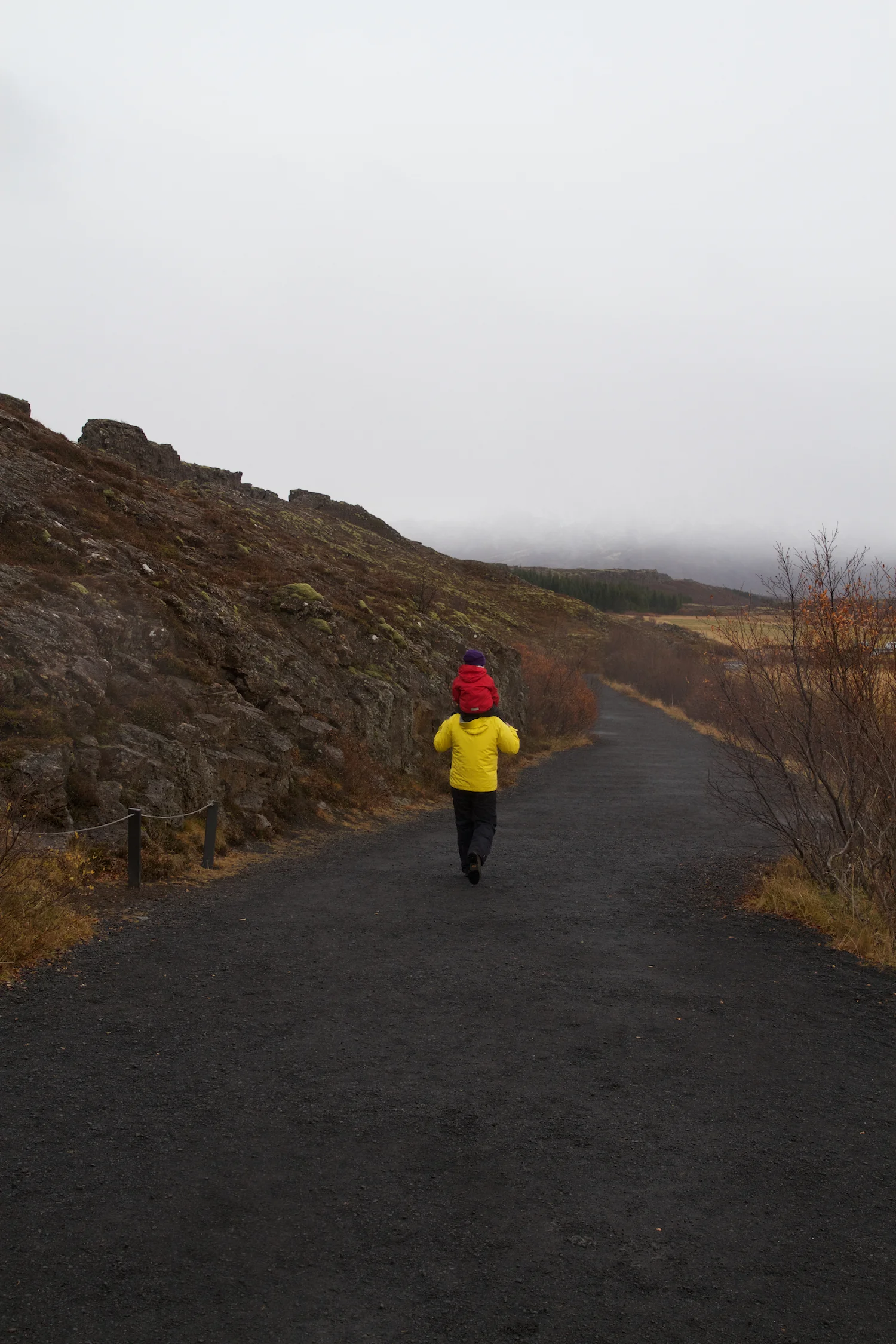 Island 2014_10_25 248.jpg